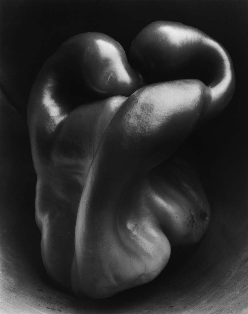 life-framer-journal-edward-weston-2